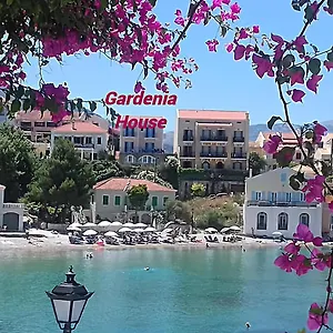 Gardenia House Asos