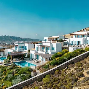 Chrysanthemo , Ano Mera Greece